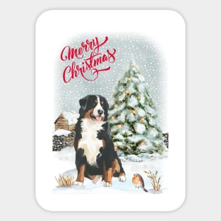 Bernese Mountain Dog Merry Christmas Santa Dog Sticker